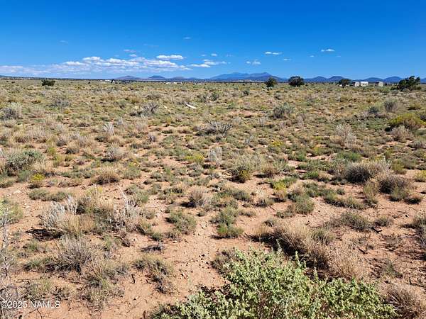 1 Acre of Residential Land for Sale in Valle, Arizona