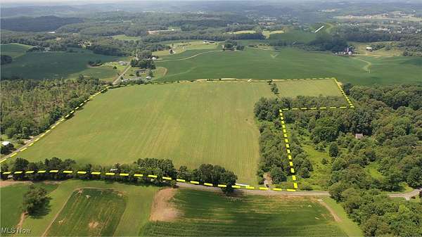 40 Acres of Agricultural Land for Auction in Minerva, Ohio