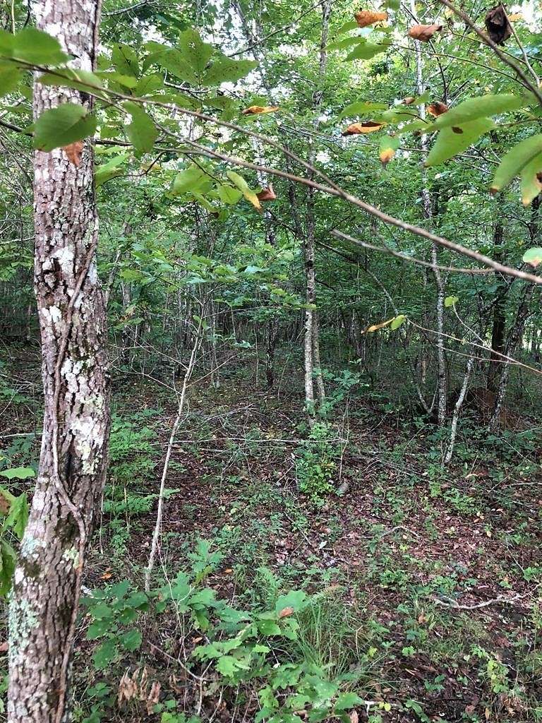 0.24 Acres of Residential Land for Sale in Crossville, Tennessee
