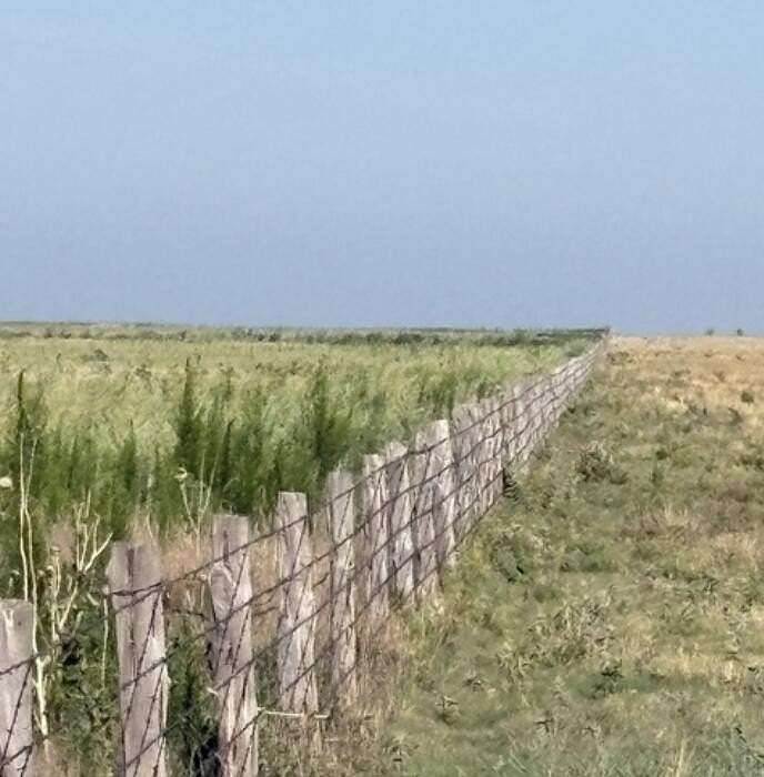 402 Acres of Land for Sale in Hereford, Texas