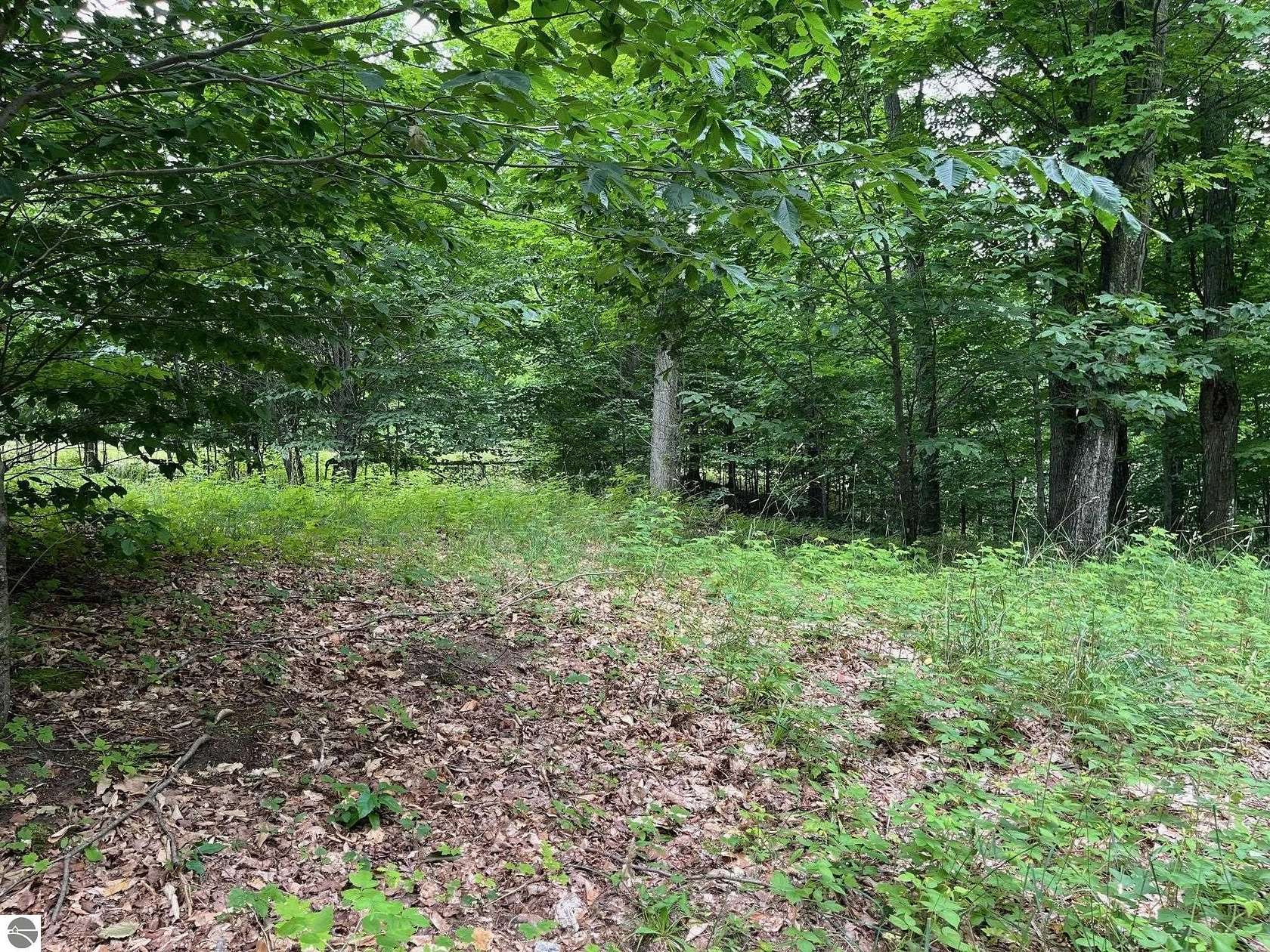 1 Acre of Residential Land for Sale in Empire, Michigan