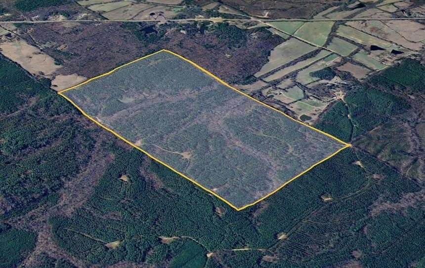 320 Acres of Recreational & Residential Land for Sale in Paris, Mississippi