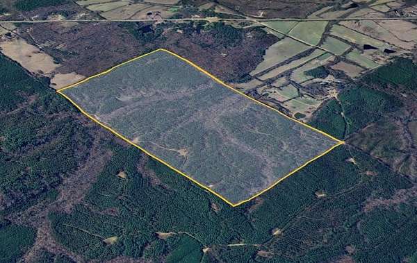 320 Acres of Recreational & Residential Land for Sale in Paris, Mississippi