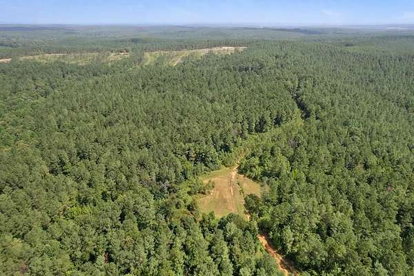 320 Acres of Recreational & Residential Land for Sale in Paris, Mississippi