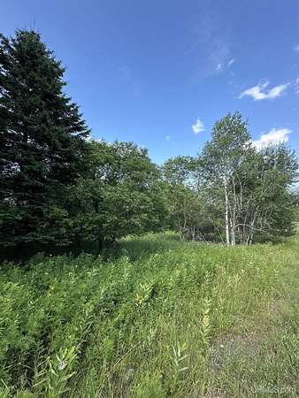 0.78 Acres of Residential Land for Sale in Iron River, Michigan