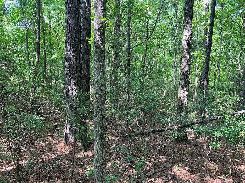 2 Acres of Residential Land for Sale in Hamilton, Georgia