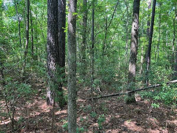 2 Acres of Residential Land for Sale in Hamilton, Georgia