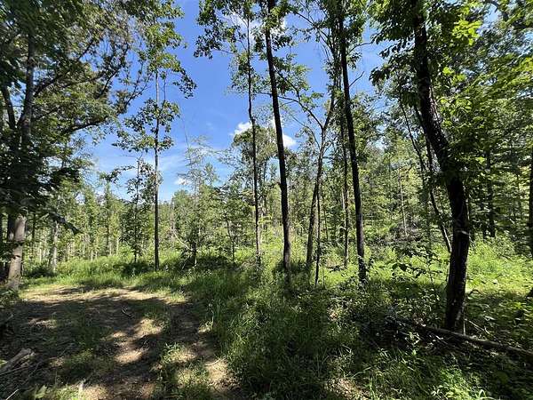 10.8 Acres of Recreational Land for Sale in Adolphus, Kentucky