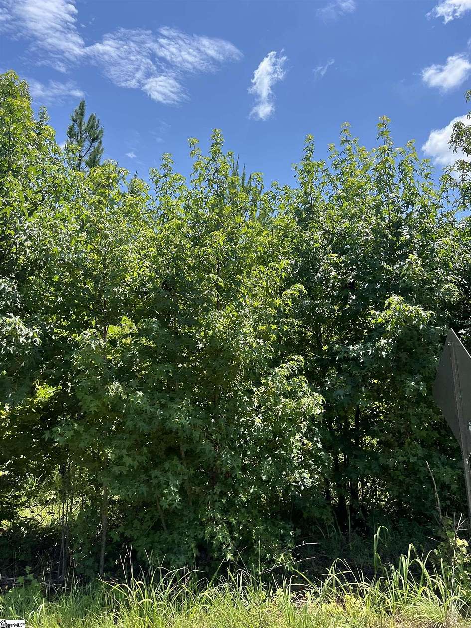 0.51 Acres of Residential Land for Sale in Taylors, South Carolina