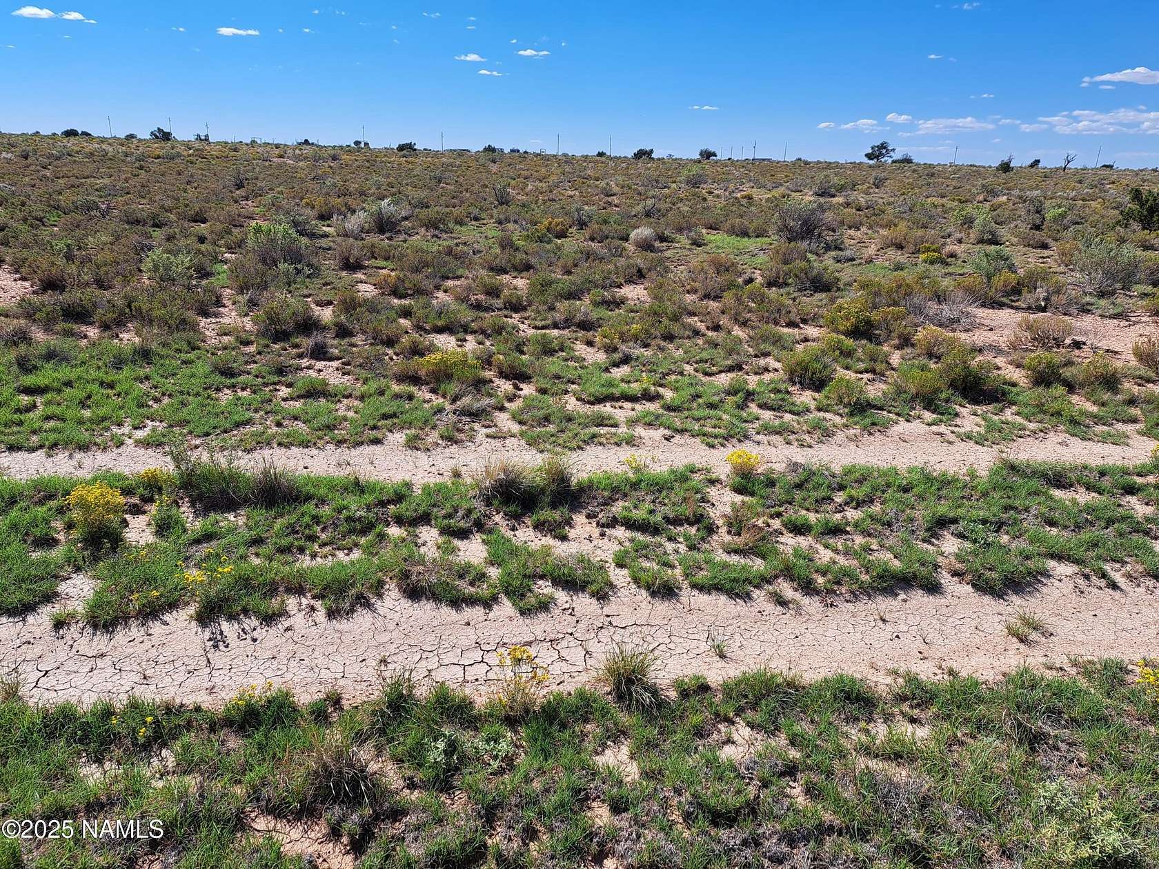 1 Acre of Residential Land for Sale in Valle, Arizona