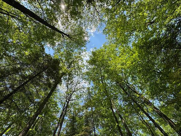 1.73 Acres of Land for Sale in Minocqua, Wisconsin