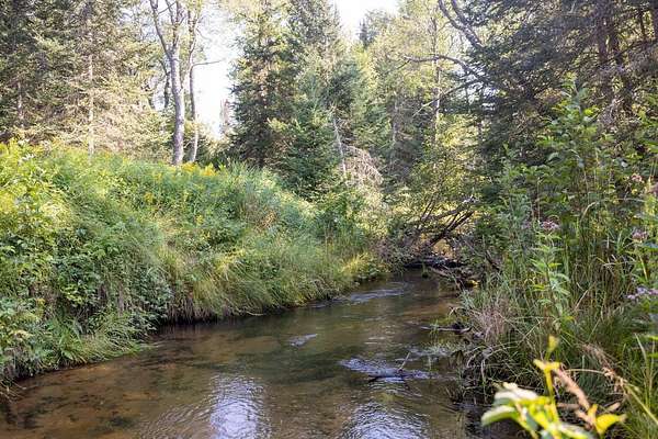 240 Acres of Recreational Land for Sale in Engadine, Michigan