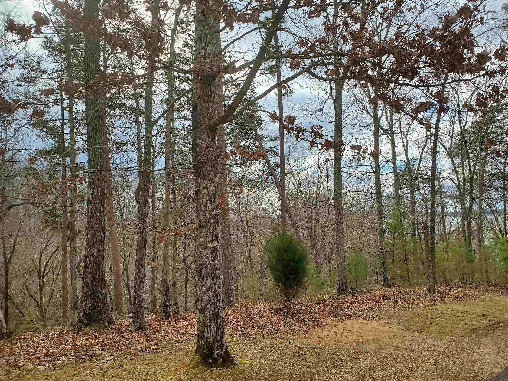 0.59 Acres of Residential Land for Sale in Savannah, Tennessee