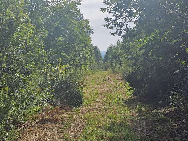 164 Acres of Recreational Land for Sale in Patten, Maine