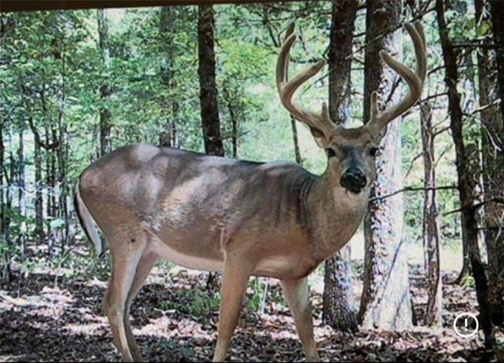 158 Acres of Recreational Land for Sale in Uniontown, Arkansas