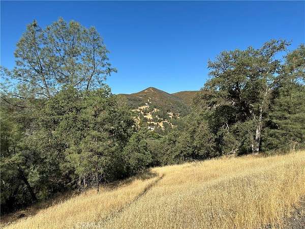 0.46 Acres of Residential Land for Sale in Clearlake Oaks, California