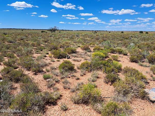 1.16 Acres of Residential Land for Sale in Valle, Arizona