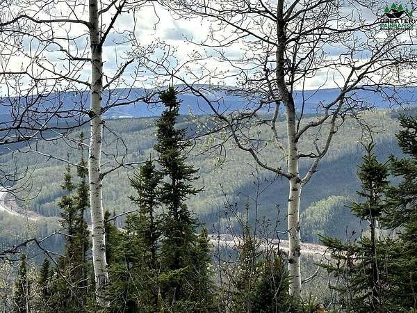 5 Acres of Residential Land for Sale in Fairbanks, Alaska
