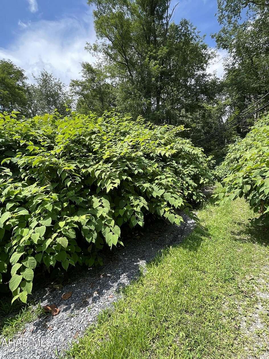 0.4 Acres of Residential Land for Sale in Johnstown, Pennsylvania