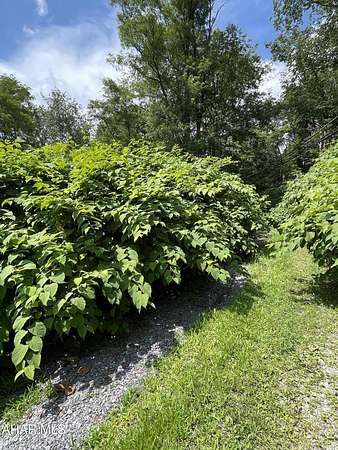 0.4 Acres of Residential Land for Sale in Johnstown, Pennsylvania