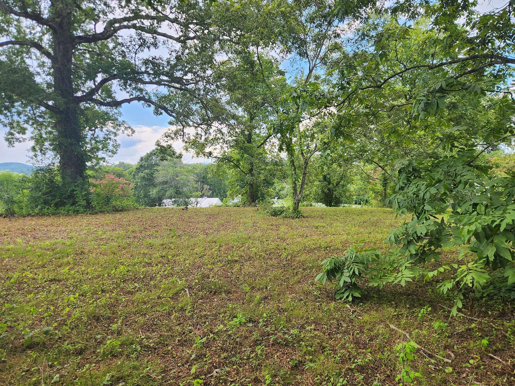 1.1 Acres of Residential Land for Sale in Decatur, Tennessee