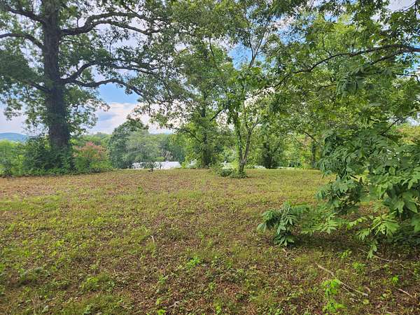 1.1 Acres of Residential Land for Sale in Decatur, Tennessee