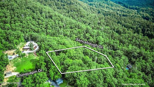 1 Acre of Residential Land for Sale in Sevierville, Tennessee