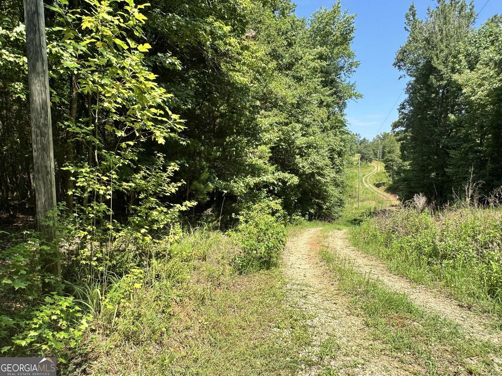 15.5 Acres of Recreational Land for Sale in Danielsville, Georgia