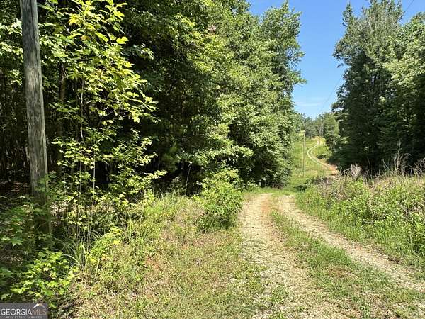 15.5 Acres of Recreational Land for Sale in Danielsville, Georgia