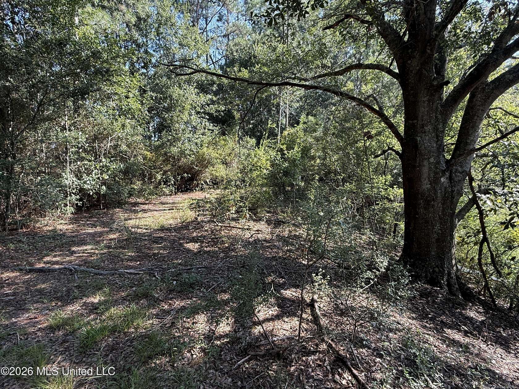 13.1 Acres of Mixed-Use Land for Sale in Biloxi, Mississippi