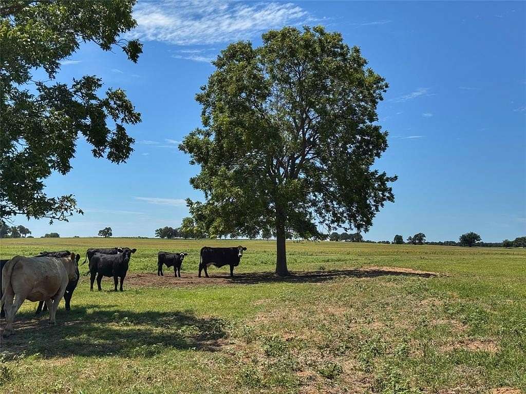 50 Acres of Land for Sale in Poolville, Texas