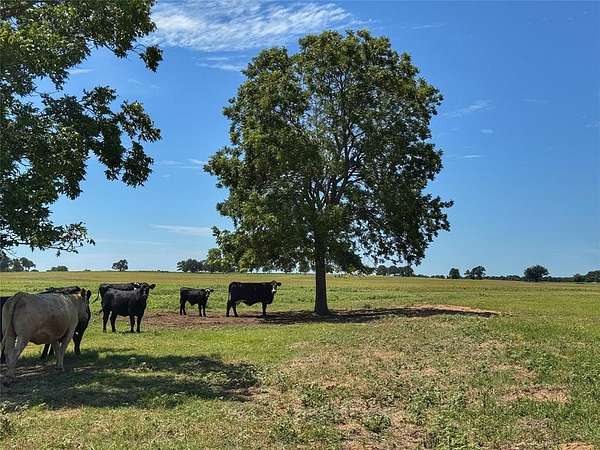 50 Acres of Land for Sale in Poolville, Texas