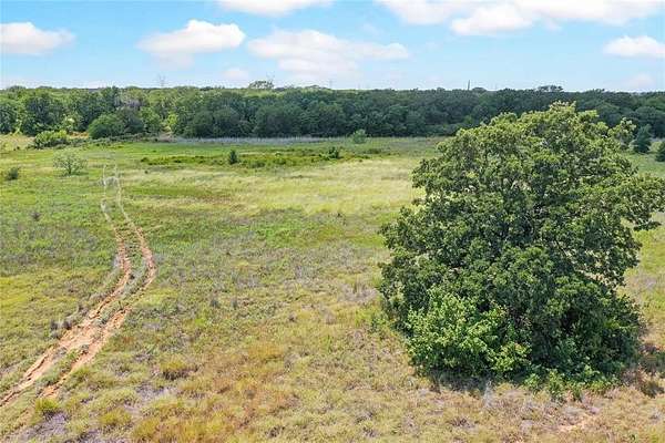 31.3 Acres of Recreational Land & Farm for Sale in Perrin, Texas