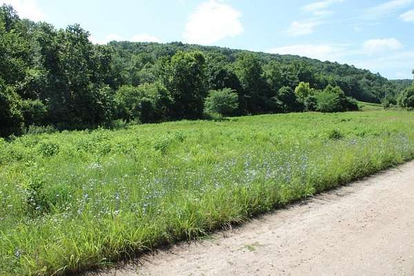 33 Acres of Land for Sale in Omaha, Arkansas