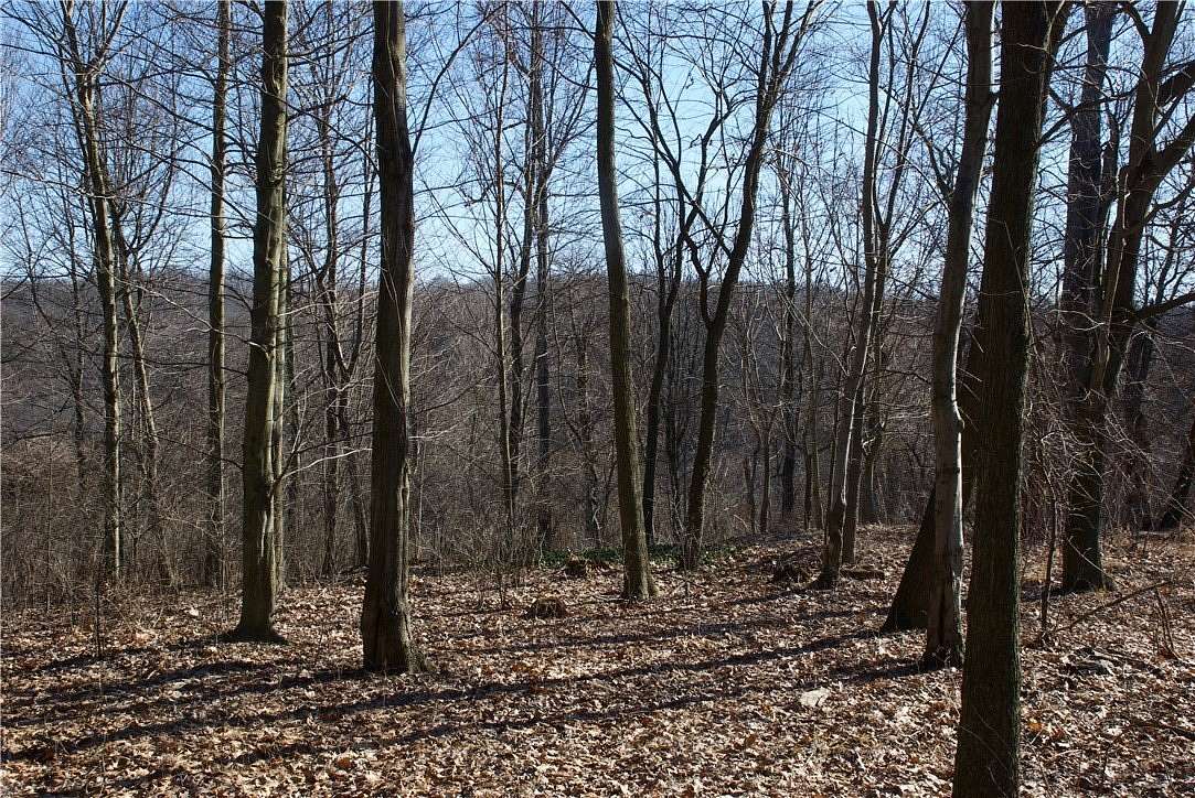 17.7 Acres of Land for Sale in Sewickley Heights, Pennsylvania