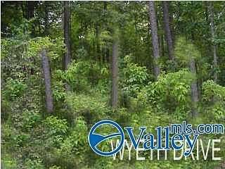 Land for Sale in Guntersville, Alabama