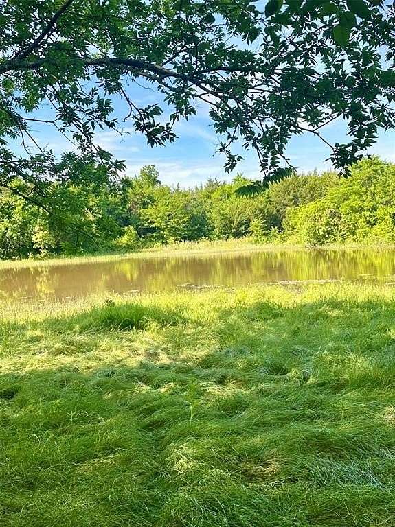 102 Acres of Recreational Land for Sale in Blue Ridge, Texas