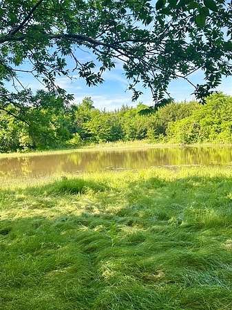 102 Acres of Recreational Land for Sale in Blue Ridge, Texas