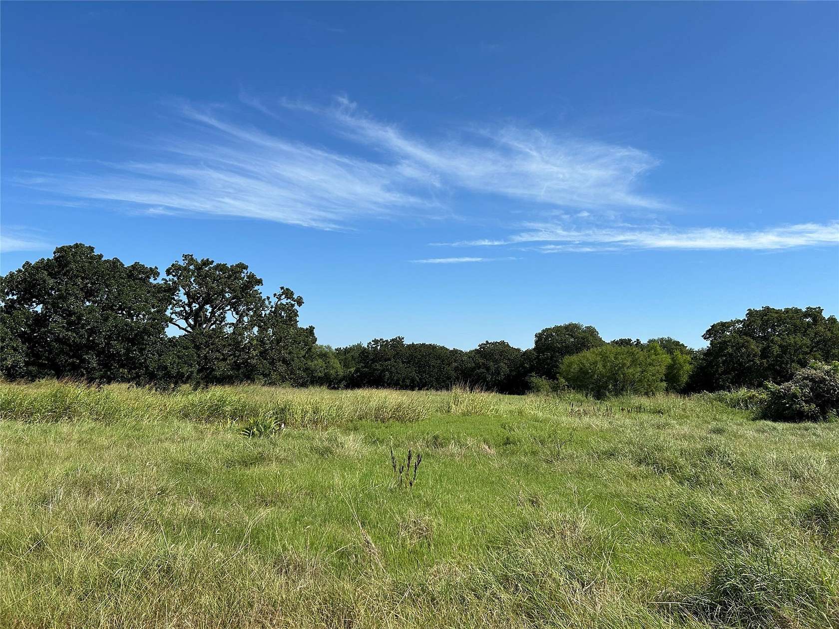 4 Acres of Land for Sale in Bridgeport, Texas
