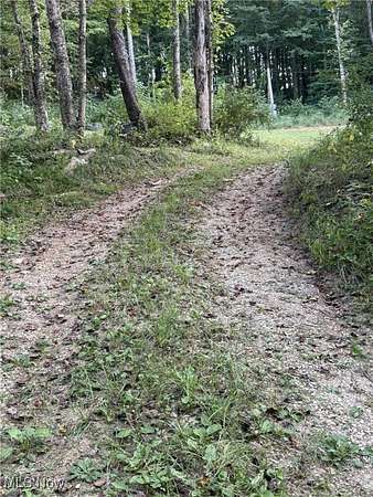 23.2 Acres of Recreational Land for Sale in McConnelsville, Ohio