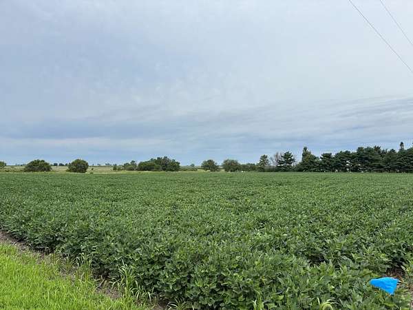 19.3 Acres of Land for Sale in Fisher, Illinois