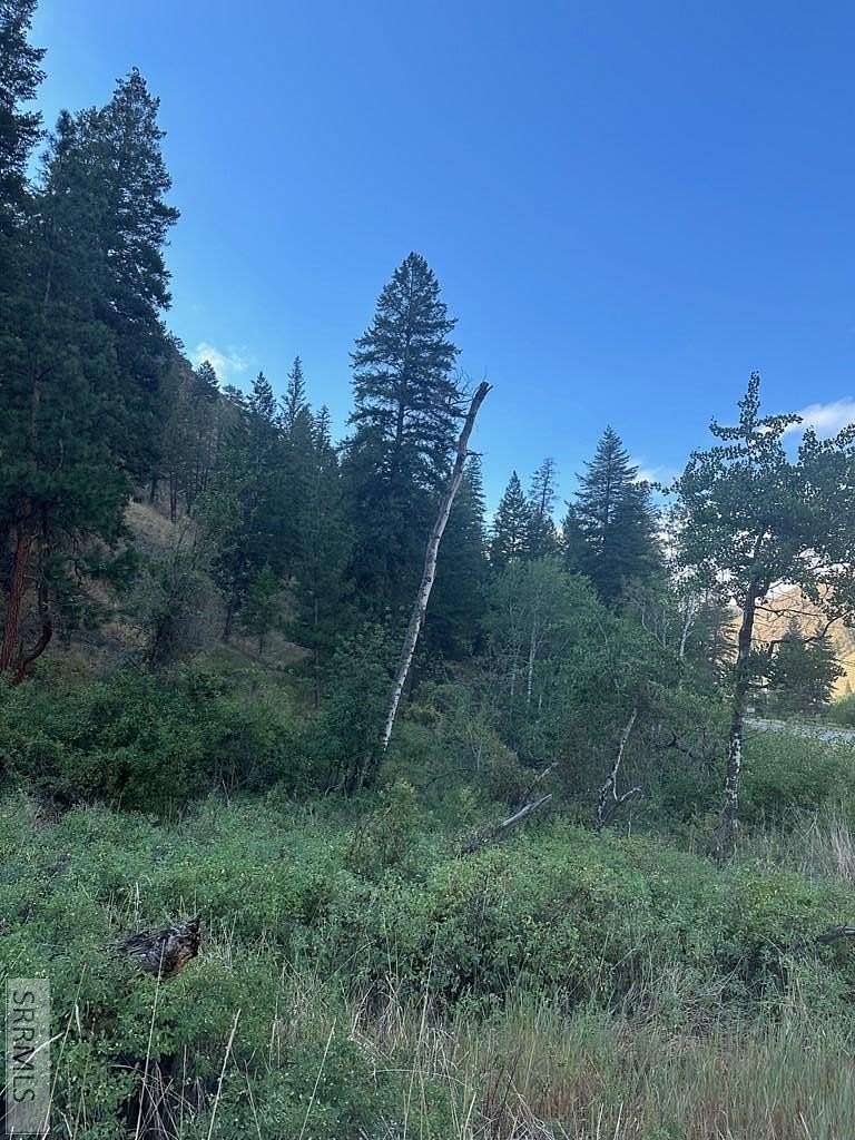 1.32 Acres of Land for Sale in North Fork, Idaho