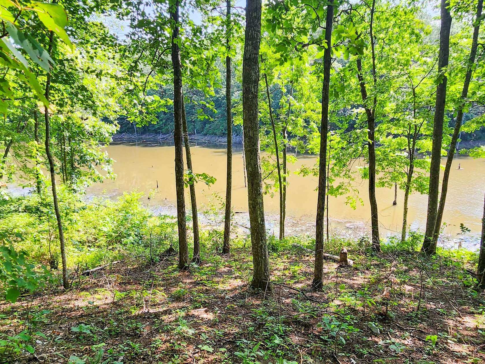 9 Acres of Land for Sale in Helenwood, Tennessee