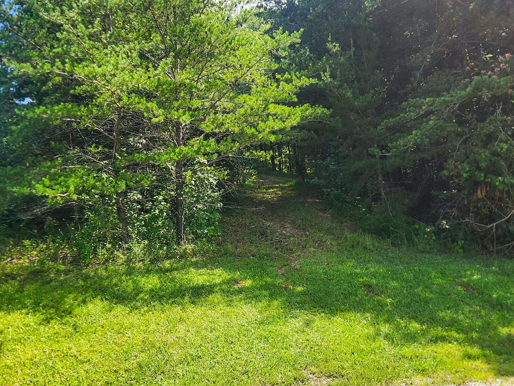 5 Acres of Land for Sale in Oneida, Tennessee