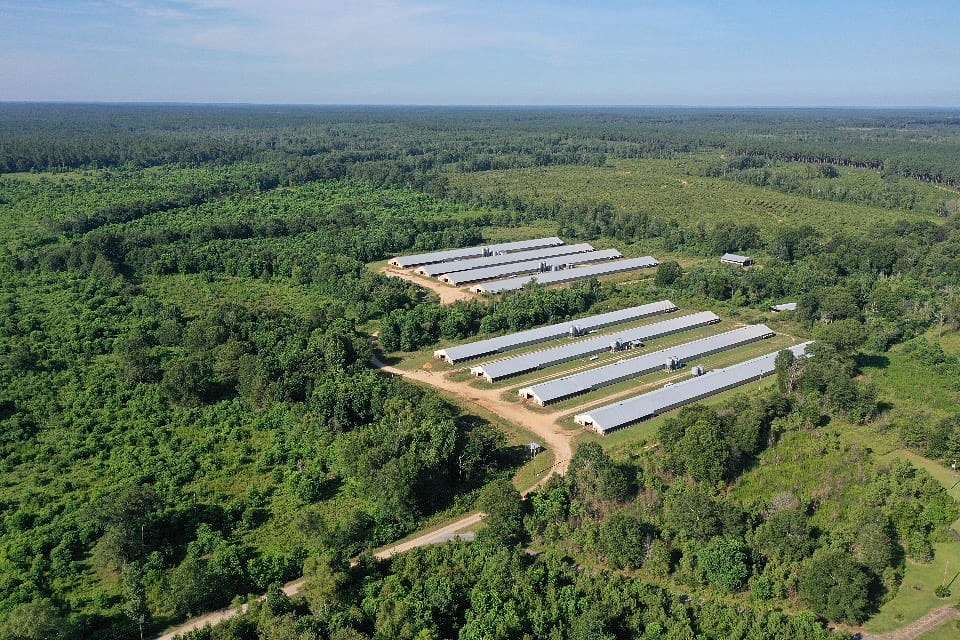 40 Acres of Agricultural Land for Sale in Laurel, Mississippi