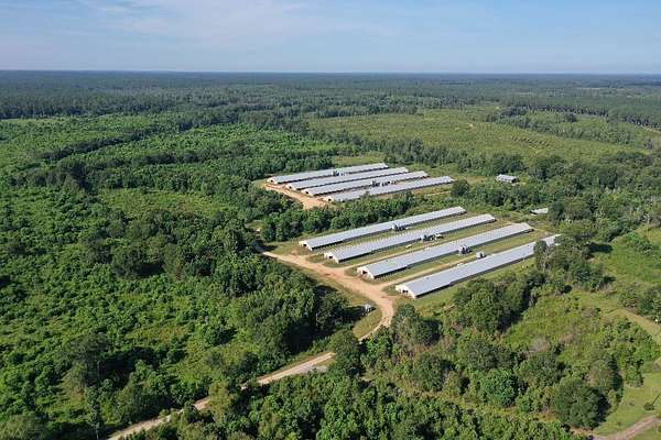 40 Acres of Agricultural Land for Sale in Laurel, Mississippi