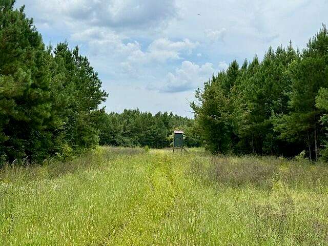 67 Acres of Recreational Land & Farm for Sale in Silver Creek, Mississippi