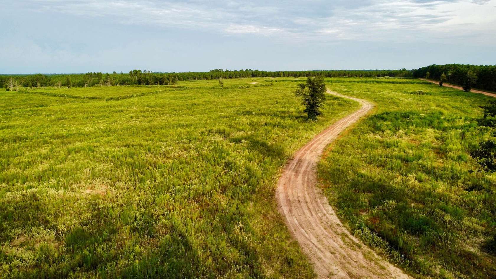 80.1 Acres of Recreational Land for Sale in Livingston, Texas