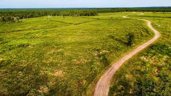 80.1 Acres of Recreational Land for Sale in Livingston, Texas
