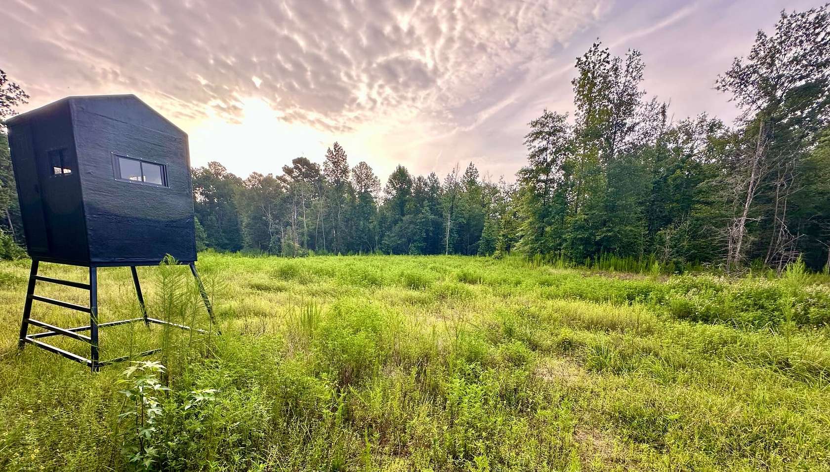 140 Acres of Recreational Land for Sale in Livingston, Texas